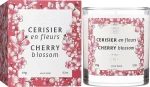 Panier des Sens Ароматична свічка у склянці "Квітка вишні" Scented Candle Cherry Blossom - фото N2