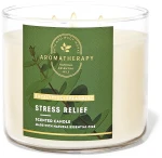 Bath & Body Works Bath and Body Works Eucalyptus Spearmint 3-Wick Candle Ароматическая свеча, 411g