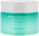 Mizon Питательный и увлажняющий крем для лица Cicaluronic Moisturizer