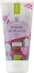 Lirene Разглаживающий скраб для тела Power Of Plants Opuncja Washing Scrub