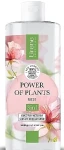 Lirene Успокаивающая мицеллярная вода 3в1 Power Of Plants Rose Micellar Water