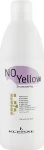 Kleral System Шампунь с антижелтым эффектом Anti-Yellow Shampoo - фото N3
