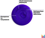 Matrix Шампунь для нейтралізації небажаних жовтих напівтонів волосся відтінків блонд Total Results So Silver Shampoo - фото N3