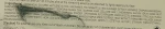 Holika Holika Маска для лица с экстрактом черного морского огурца Prime Youth Black Sea Cucumber Mask Sheet - фото N3
