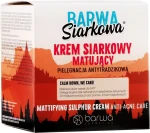 Barwa Антибактериальный крем для лица Anti-Acne Antibacterial Face Cream - фото N2