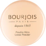 Bourjois Poudre Libre Рассыпчатая пудра