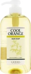 Lebel Шампунь для волос "Холодный Апельсин" Cool Orange Shampoo - фото N3