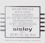 Sisley Бальзам для контура глаз и губ Baume Efficace Botanical Eye and Lip Contour Balm - фото N6