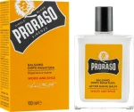 Proraso Бальзам після гоління Wood And Spice After Shave Balm