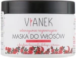 Vianek Регенерирующая маска для темных и окрашенных волос Dark Hair Mask