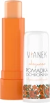 Vianek Живильний бальзам для губ Lip Balm