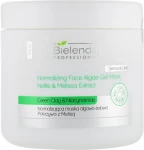 Bielenda Professional Нормалізувальна альгінатна гелева маска "Кропива і меліса" Normalizing Face Algae Gel Mask (запасний блок)