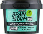 Beauty Jar Скраб очищающий для кожи головы "Brain Storm" Cleansing & Purifying Scalp Scrub - фото N2