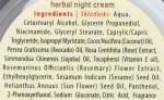 Sattva Нічний крем для обличчя з лікувальними травами Ayurveda Herbal Night Cream - фото N3