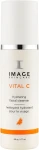 Image Skincare Очищающее молочко с витамином С Vital C Hydrating Facial Cleanser