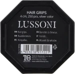Невидимки прямі для волосся сріблясті - Lussoni Hair Grips Silver, 4 см, 250шт