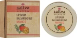 Sattva Бальзам для губ "Манго" Swati Ayurveda Lip Balm Mango - фото N3