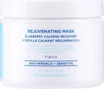 HydroPeptide Живильна відновлювальна чорнична маска Rejuvenating Mask - фото N3