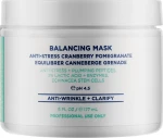 HydroPeptide Антистрессовая маска с клюквой и гранатом Balancing Mask - фото N3