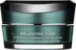 HydroPeptide Антистресова маска з журавлиною і гранатом Balancing Mask