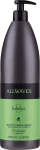 Allwaves Шампунь для жирных волос Balance Sebum Balancing Shampoo - фото N3