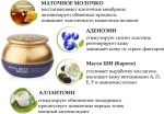 Bergamo Омолоджуючий крем для обличчя з маточним молочком Royal Jelly Wrinkle Care Cream - фото N4