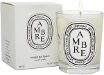 Diptyque Ароматична свічка Amber Candle - фото N3