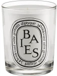 Diptyque Ароматическая свеча Baies Candle