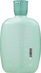 Alfaparf Шампунь для волос против перхоти Semi Di Lino Scalp Rebalance Purifying Low Shampoo - фото N2