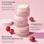 Caudalie Крем для обличчя Resveratrol Lift Firming Cashmere Cream - фото N10