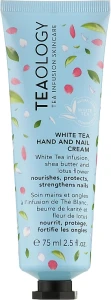 Teaology Крем для рук і нігтів з білим чаєм White Tea Hand & Nail Cream