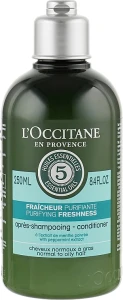 L'Occitane Кондиціонер для волосся Aromachologie Purifying Freshness Conditioner