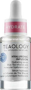 Teaology Увлажняющая сыворотка с гиалуроновой кислотой Hyaluronic Infusion Hydrating Serum