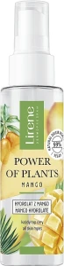 Lirene Гідролат 100% "Манго" Power Of Plants Mango Hydrolate