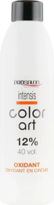Prosalon Оксидант 12% Intensis Color Art Oxydant vol 40