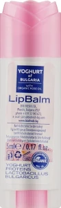 BioFresh Бальзам для губ c пробиотиком и органическим розовым маслом Yoghurt & Organic Rose Oil Lip Balm