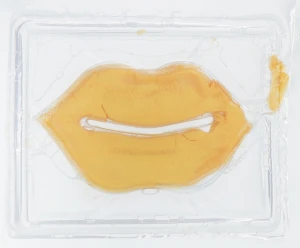 King Rose Увлажняющая гидрогелевая маска-патч для губ с коллагеном Anti Wrinkle And Moisturizing 24K Gold Collagen Lip Mask