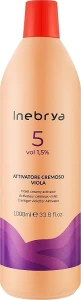 Inebrya Кремовый активатор 1,5 % 5 Vol Violet Creamy Activator, 1000ml