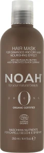 Noah Живильна маска для волосся Origins Nourishing Hair Mask