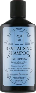 Lavish Care Шампунь для чоловіків "Зволоження та відновлення волосся" Revitalizing Shampoo