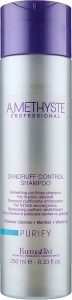 Farmavita Шампунь проти лупи Amethyste Purify Dandruff Control Shampoo