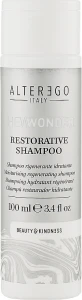 Alter Ego Восстанавливающий шампунь для волос She Wonder Restorative Shampoo