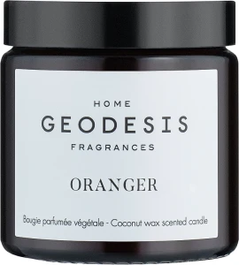 Geodesis Orange Tree Ароматическая свеча