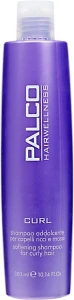 Palco Professional Пом’якшувальний шампунь для кучерявого волосся Curl Shampoo Addolcente