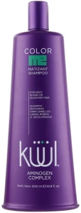 Kuul Тонирующий шампунь для осветленных волос Color Me Shampoo Matizant, 1000ml