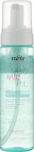 Itely Hairfashion Кондиціонер-мус для об'єму волосся WondHairFul Volume Conditioner