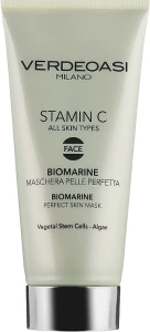 Verdeoasi Біоморська маска для ідеальної шкіри обличчя Stamin C Biomarine Perfect Skin Mask
