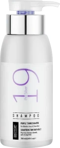 Biotop Шампунь антижелтый для волос 19 Pro Silver Shampoo