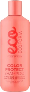 Ecoforia Шампунь для фарбованого волосся Hair Euphoria Color Protect Shampoo