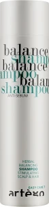 Artego Шампунь для жирных волос Easy Care T Balance Shampoo